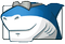 Windows 7 Codecs 3.9.0