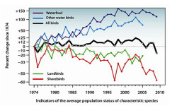 National Bird Biodiversity Indicators from Canada show a strongly declining trend since 1974 for all waders (shorebirds; red line) compared to other bird types (North American Bird Conservation Initiative Canada, 2012).