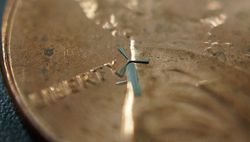 micro-windmills