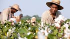 12 yrs a slave 2