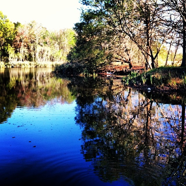 Beautiful day to run by #lakealice after work. Too bad it's getting cold tonight ❄️#ithoughtwinterwasover #getagripflorida