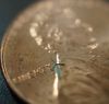 Micro-windmills could one day charge cell phones