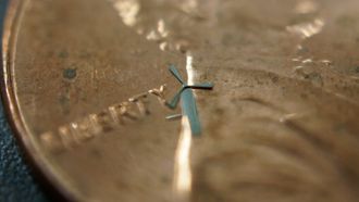 These windmills are so tiny, you could fit 10 of them on a grain of rice