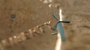 
Forschung Windräder in Millimetergröße laden Akkus auf
US-Forscher haben winzige Windräder entwickelt, die mit einem Durchmesser von 1,8&#160;mm kaum sichtbar sind. Hunderte von ihnen könnten auf einer Smartphonehülle untergebracht werden, um Wind in Strom umzuwandeln.
Wissenschaftler der Universität Texas in Arlington haben Mikrowindräder entwickelt, die irgendwann kleine Akkus wie die von Smartphones wieder aufladen könnten. Smitha Rao und J.-C. Chiao haben ein Windrad entworfen und gebaut, das nur 1,8&#160;mm Durchmesser aufweist. So lassen sich besonders viele der kleinen Rotoren auf einer winzigen Fläche unterbringen.

Der Besitzer einer solchen Stromversorgungslösung könnte beispielsweise eine mit Hunderten von Windrädern bestückte Hülle herumwedeln oder sie auf ein Fenstersims legen, um etwas Strom zu gewinnen.
Die mechanischen Mikrokomponenten werden mit Verfahren der Halbleitertechnik produziert. Da die Strukturen nicht nur beweglich, sondern auch sehr komplex sind, wurden mehrschichtige Galvanotechniken genutzt, die vom Sponsor des Projekts, der taiwanischen Firma Winmens, optimiert wurden. Das Unternehmen hat sich auch die Rechte für die kommerzielle Verwendung gesichert. Die Mikrowindmühlen bestehen aus einer Nickellegierung, die besonders widerstandsfähig sein soll, und enthalten auch den Stromgenerator.
Schon im September 2013 wurden die Mikrowindmühlen im Labor von Chiao getestet und dabei einem starken Luftzug ausgesetzt, der ihnen nichts anhaben konnte.
Nicht nur Telefonhüllen, sondern auch ganze Häuserfronten und Dächer könnten in ferner Zukunft damit überzogen werden, um Strom zu gewinnen, der für Beleuchtungszwecke, für Sensoren oder Funktechnik eingesetzt werden könnte, mutmaßen die Forscher. Wie sie dem Problem der Verschmutzung und der mechanischen Beschädigungen durch Berührungen beikommen wollen, erwähnen sie nicht.

(via Golem.de)