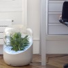 WIN a Beautiful ANDREA Houseplant Air Purifier (worth $195)! 