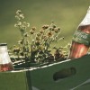 Coca-Cola Launches 
