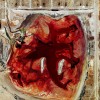 Mishak Henner's Apocalyptic Photos Show How Factory Farming is Destroying The American Landscape