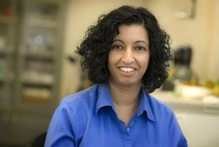 Tiny Micro-Robotic Windmill Recharges Phone Batteries Smitha Rao