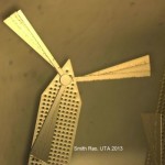 tiny windmill