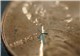 Scientists Create &apos;Micro-Windmills&apos; that Could Power Cellphones