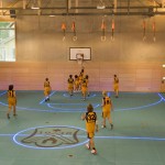 ASB most Advanced Flooring System in the world
