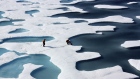 hi-arctic-ice-852