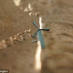 microwindmill