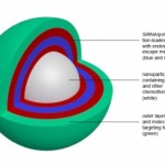 “One-Two Punch” Nanoparticle Fights Triple-Negative Breast Cancer