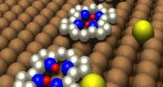 Research Introduces Molecular Binary Switch