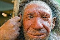 neanderthal
