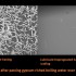  Micro Windmills to Recharge Cellphones | New Technology
