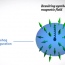 Researchers make magnetic monopoles 