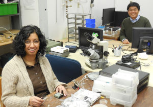 Team is creating power-generating method