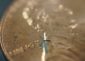 Micro Windmills The designing of a micro-windmill that generates wind energy may soon become an innovative solution to cell phone batteries