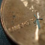 Weltkleinste Windturbine - Windrad auf einer 1-Cent-Münze. Von Blattspitze bis Turmfuß nur 1,8 Millimeter.