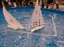 DSCN3699